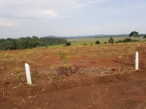 50 * 100 Ft Titled Plots in Konge
