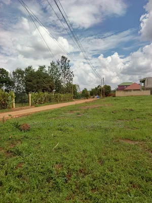 Hot Cake Plots in the Heart of Matuga Town