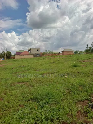 Hot Cake Plots in the Heart of Matuga Town