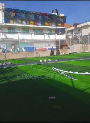 Football Turf Grass