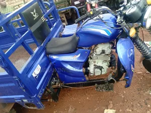 Tricycle 2024 Blue