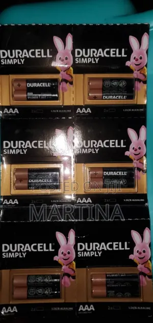 Duracell Batteries