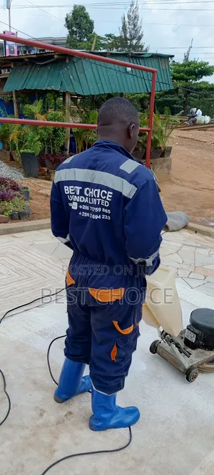 Professional Carpet Cleaning Solutions for a Healthier Environment