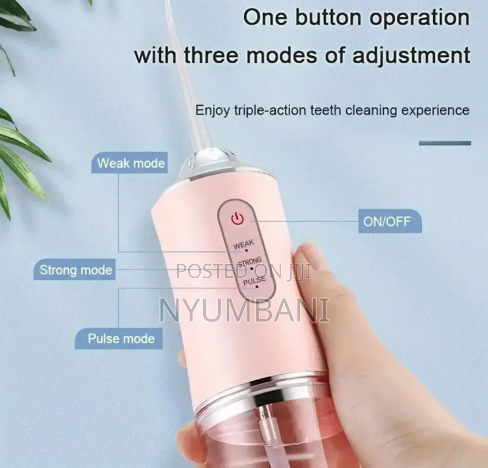 Dental Flosser