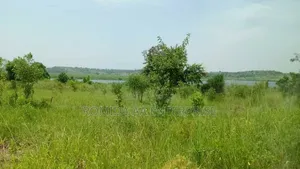 Farmland for Rent in Nwoya and Amuru
