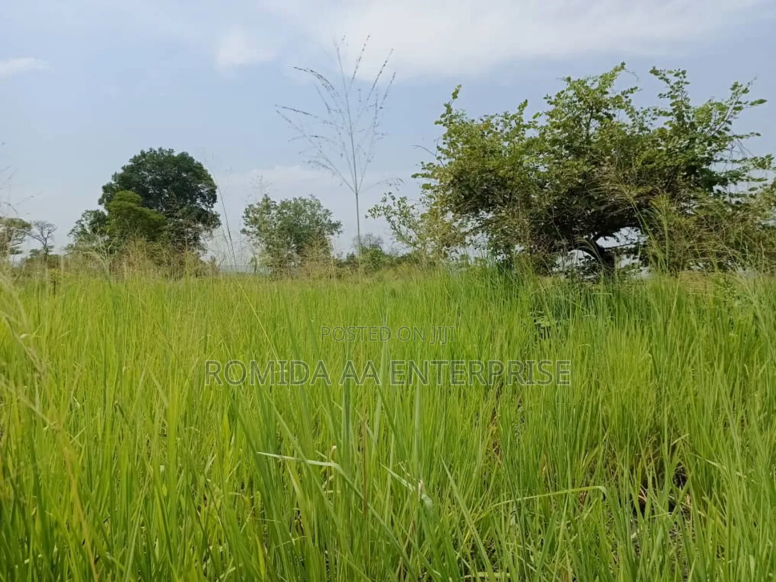 Farmland for Rent in Nwoya and Amuru