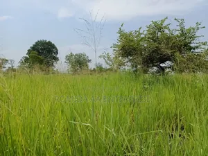 Farmland for Rent in Nwoya and Amuru