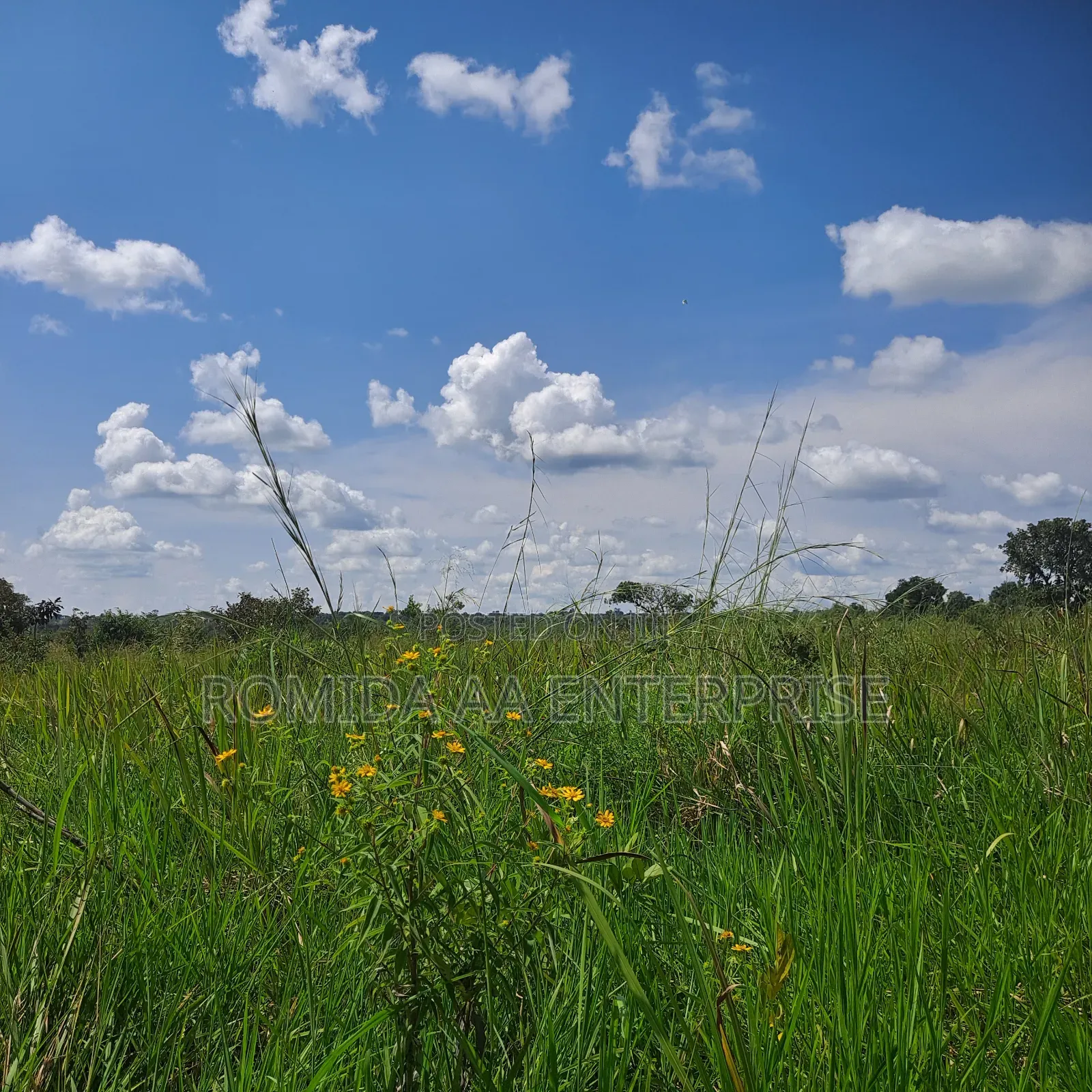 Farmland for Rent in Nwoya and Amuru