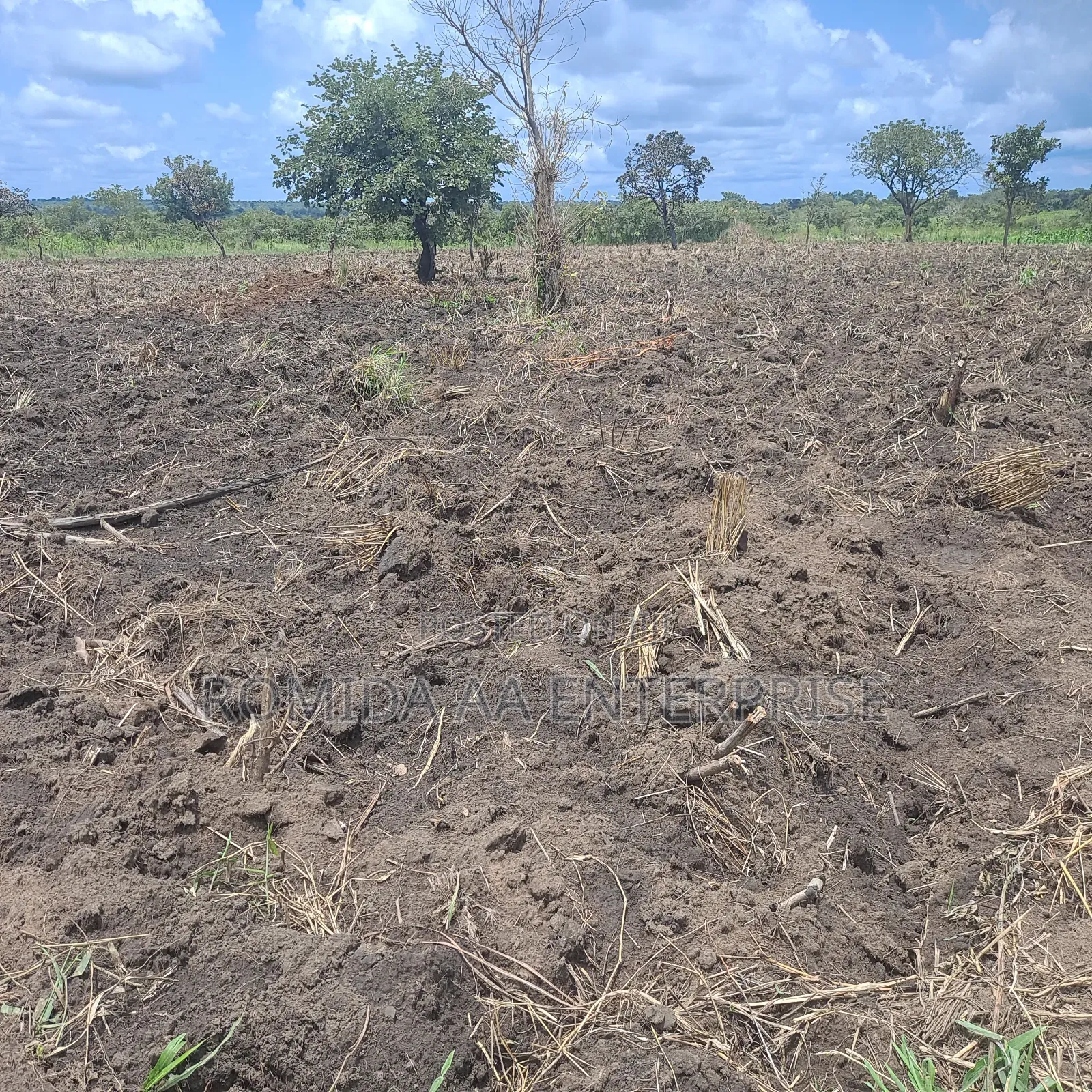 Farmland for Rent in Nwoya and Amuru