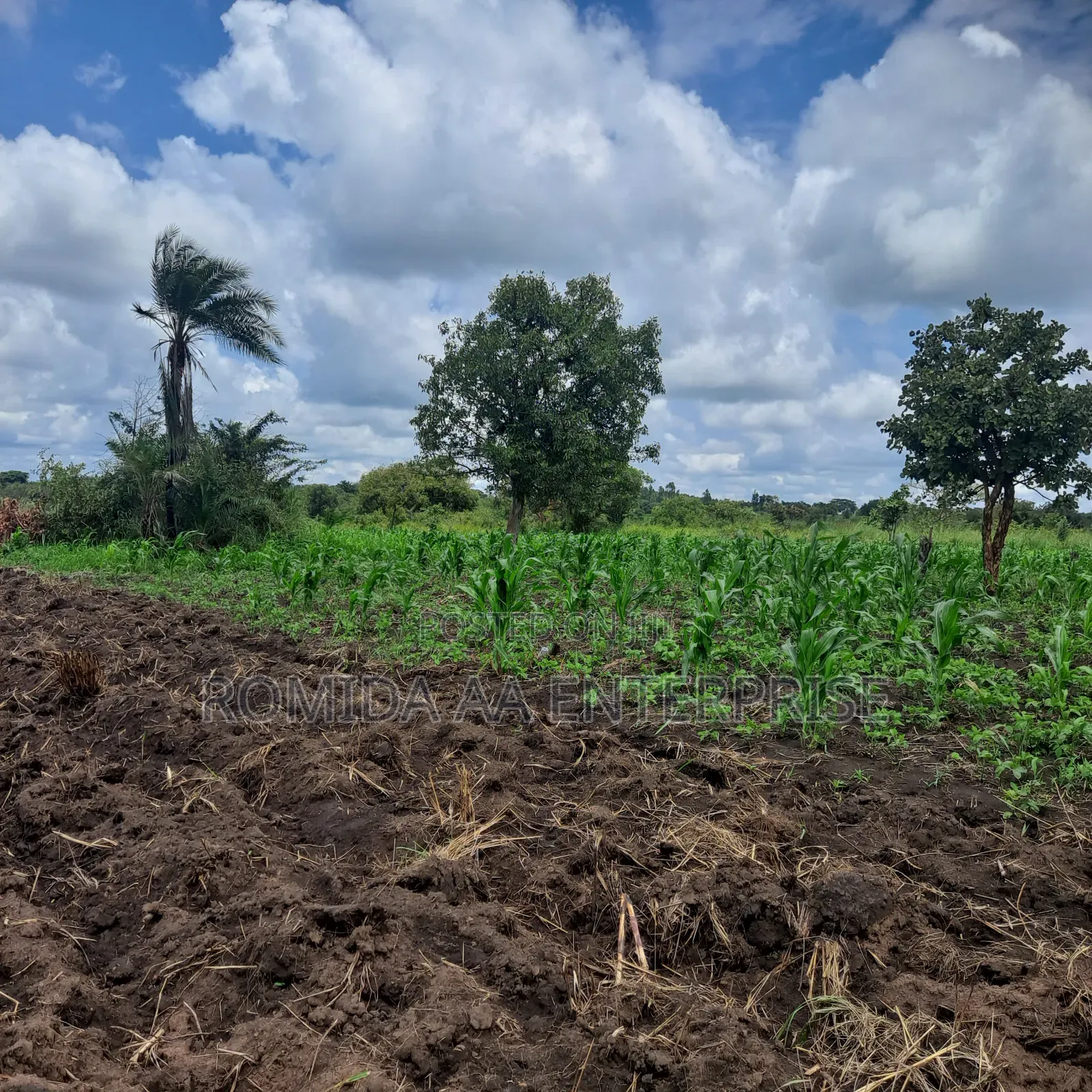 Farmland for Rent in Nwoya and Amuru