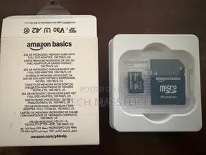 Amazon Basics 256 Gb Sd Card