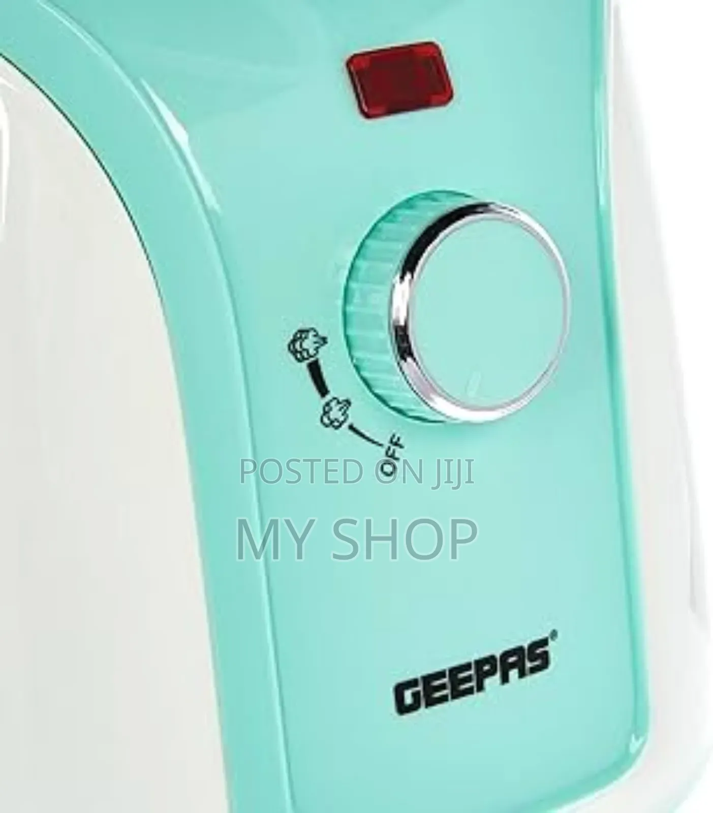 Floor Model Garment Steamer
