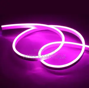 5m 12v Low Voltage Led Neon Light