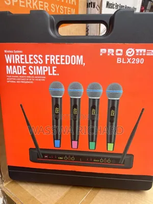 Promax Wireless Microphone 4 in 1