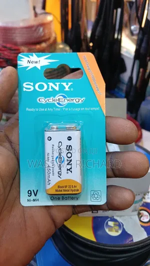 Sonny Rechargeable Battery 4600mh