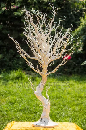 White Manzanita Wishing Tree