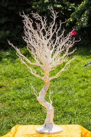 White Manzanita Wishing Tree