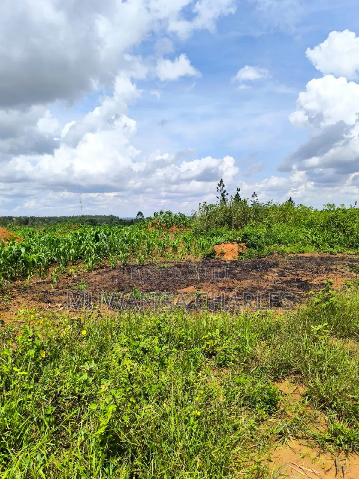 Land on Quick Sale in Nakasongola