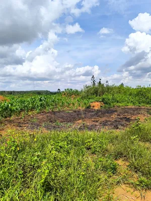 Land on Quick Sale in Nakasongola