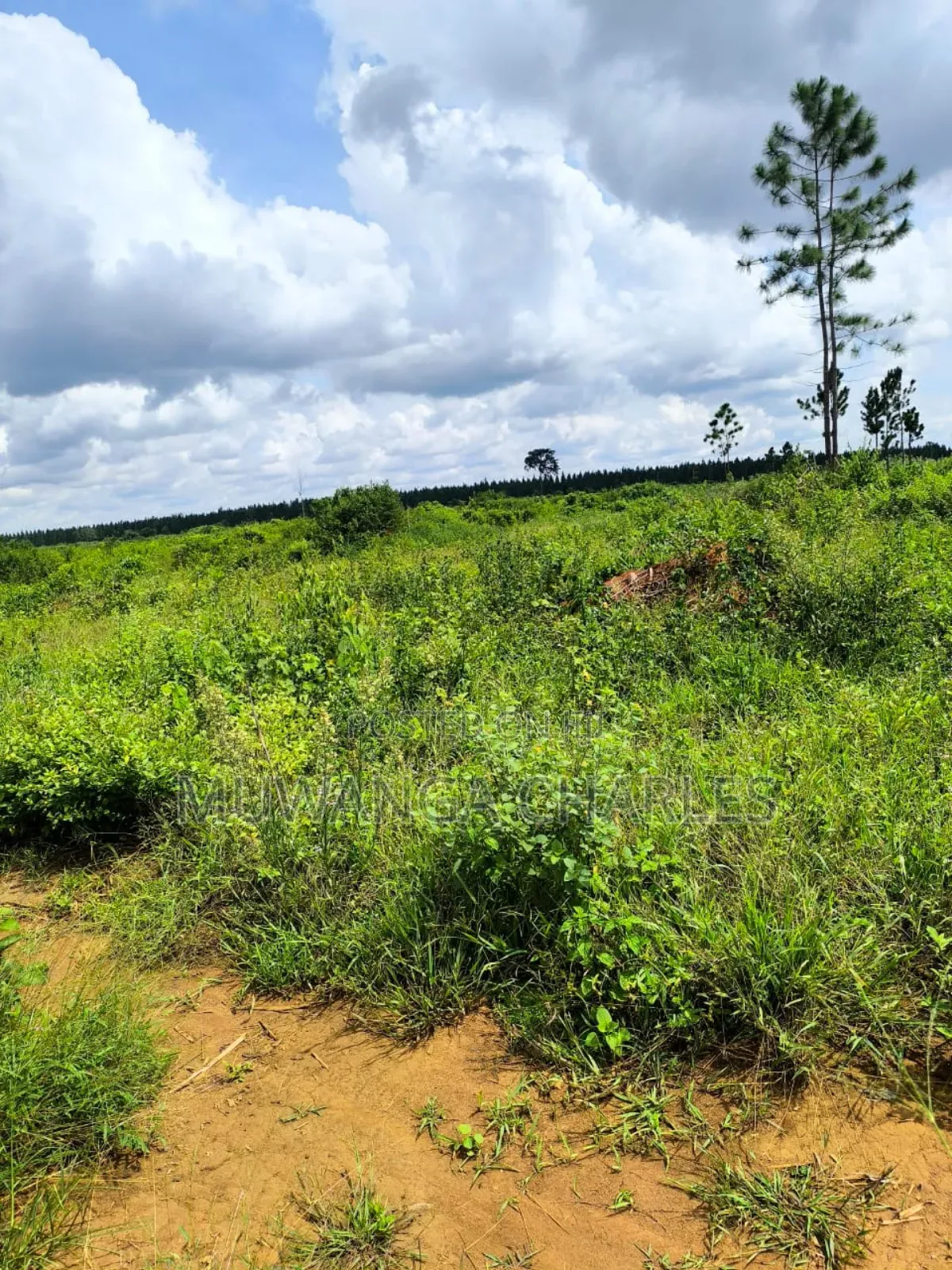 Land on Quick Sale in Nakasongola