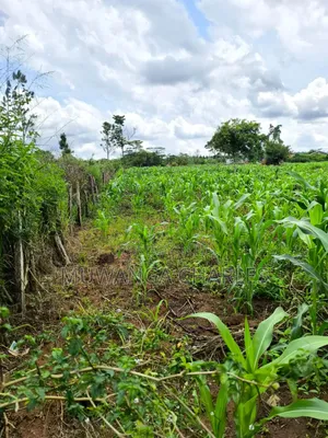 Land for Sale in Zirobwe Nakigoza