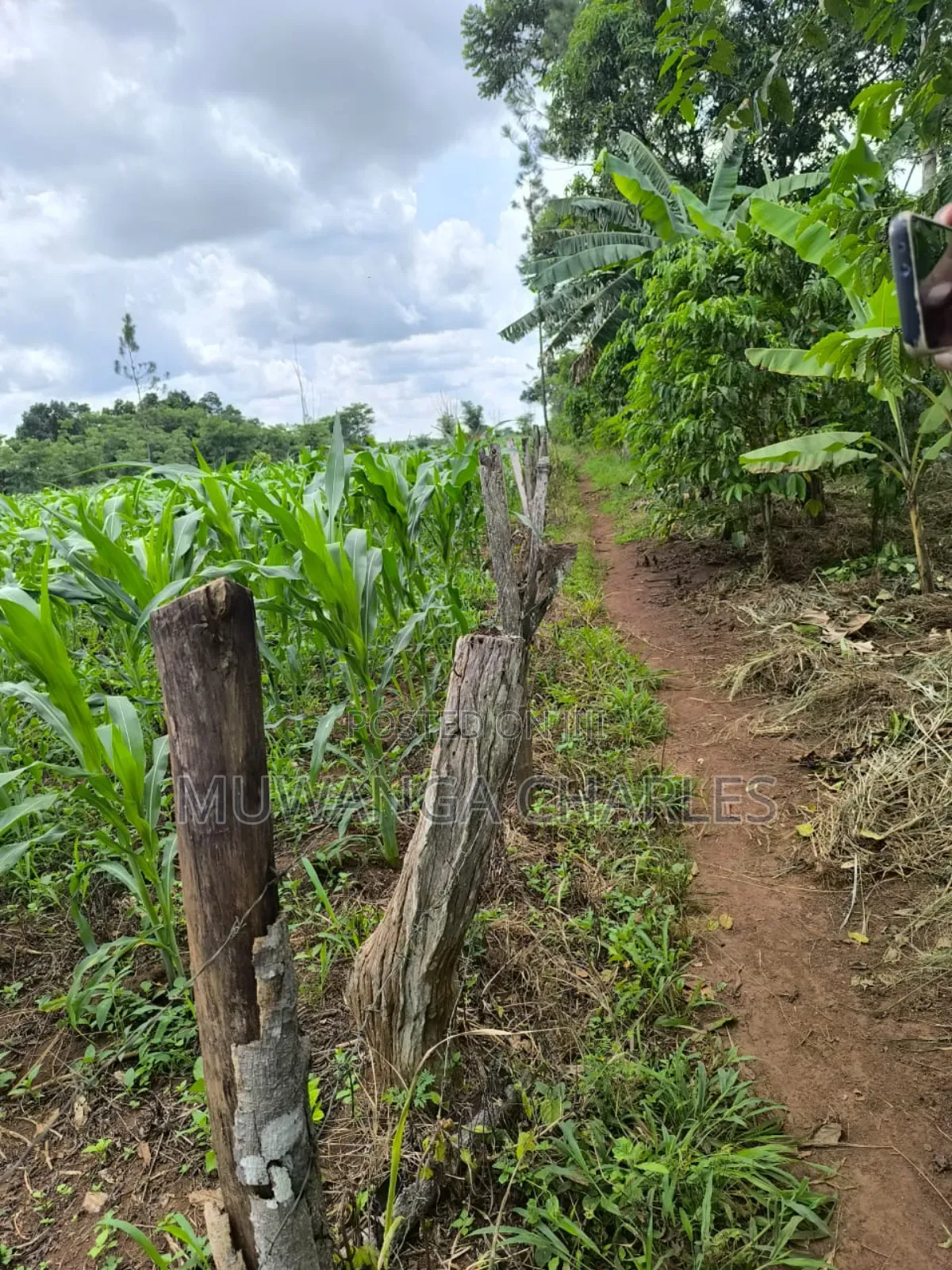 Land for Sale in Zirobwe Nakigoza