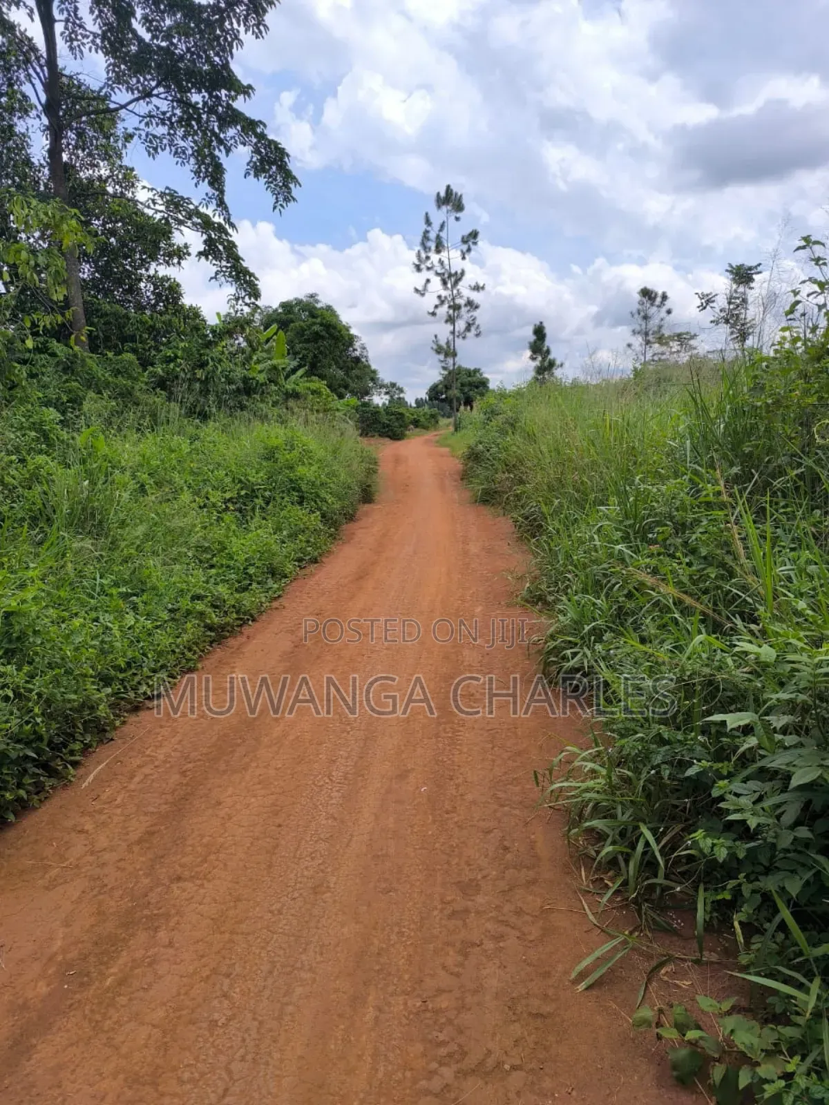 Land for Sale in Zirobwe Nakigoza