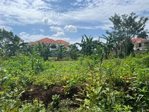 Plot on Sale in Buwate