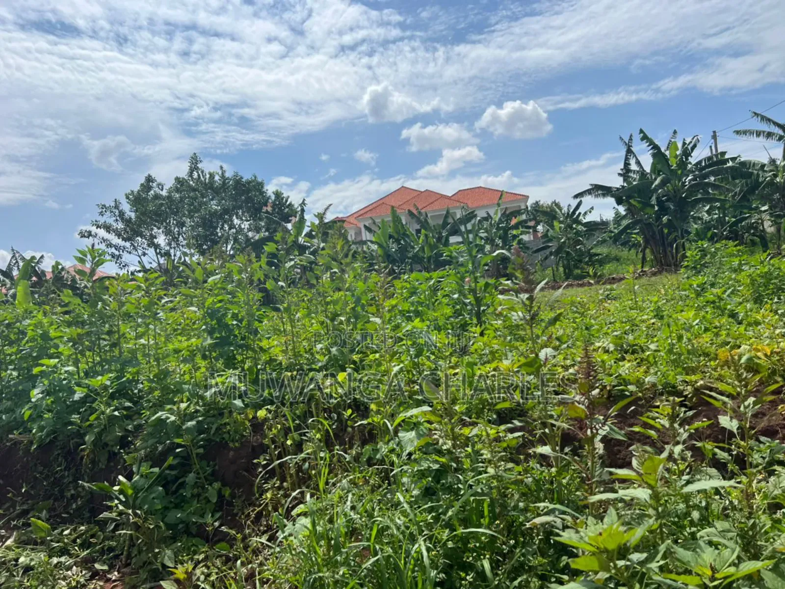 Plot on Sale in Buwate