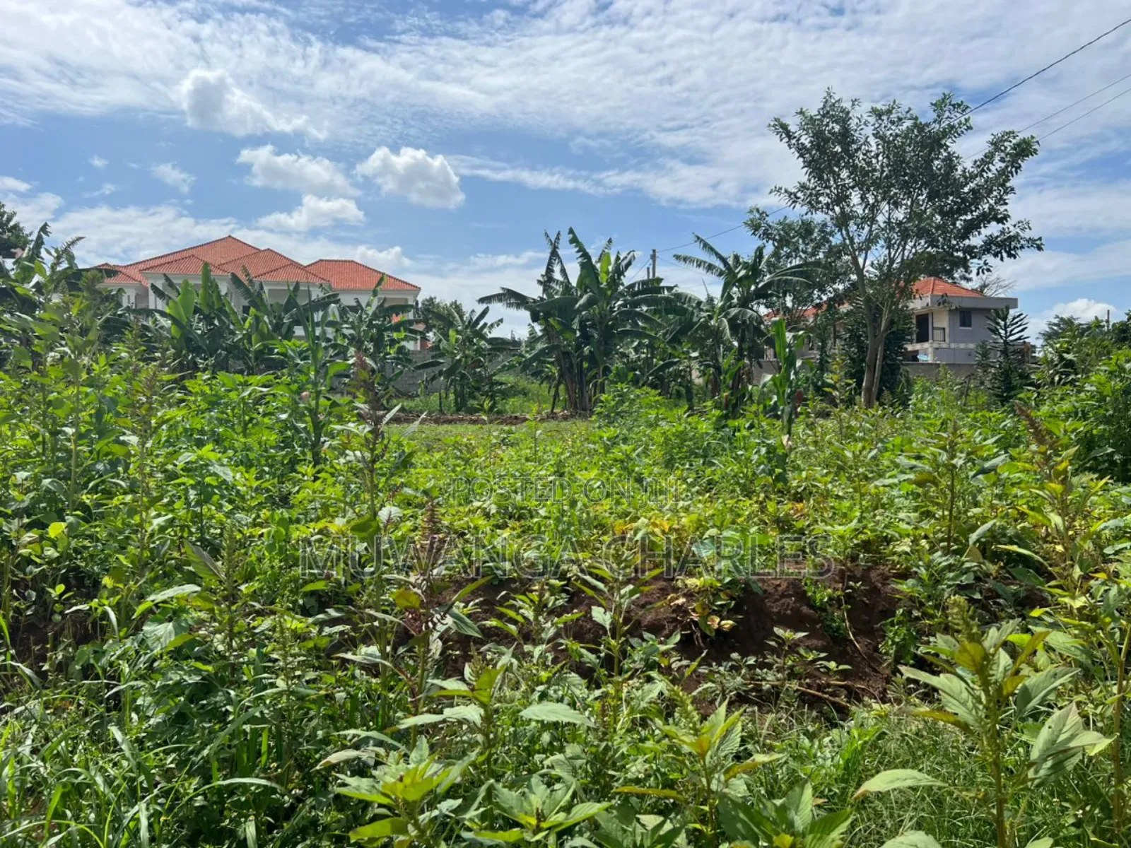 Plot on Sale in Buwate