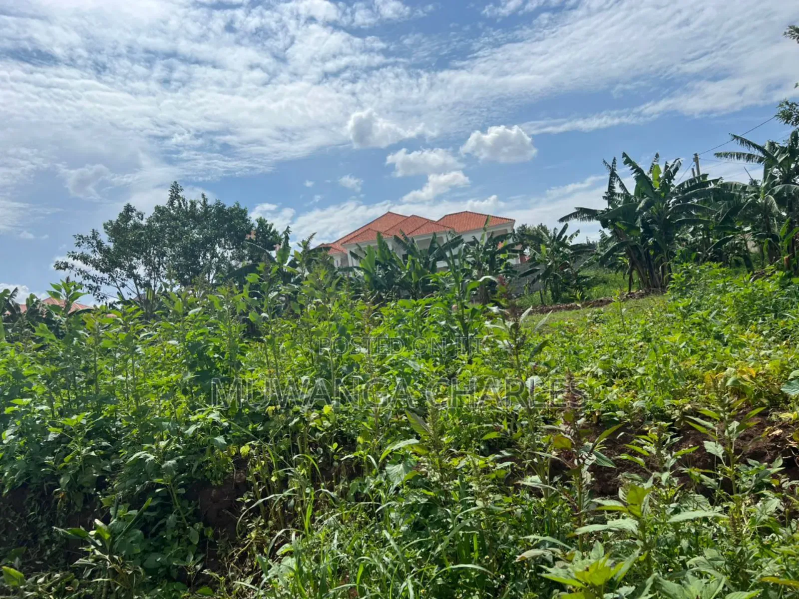 Plot on Sale in Buwate