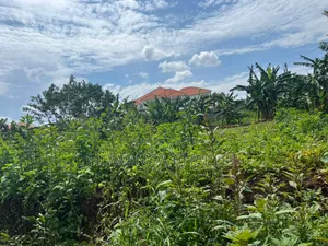 Plot on Sale in Buwate