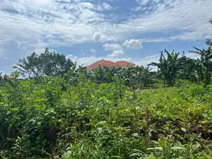 Plot on Sale in Buwate