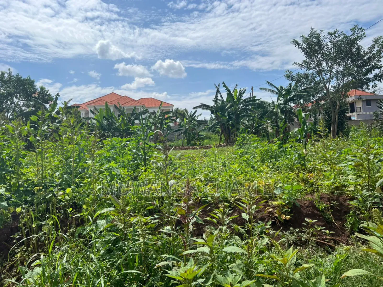 Plot on Sale in Buwate