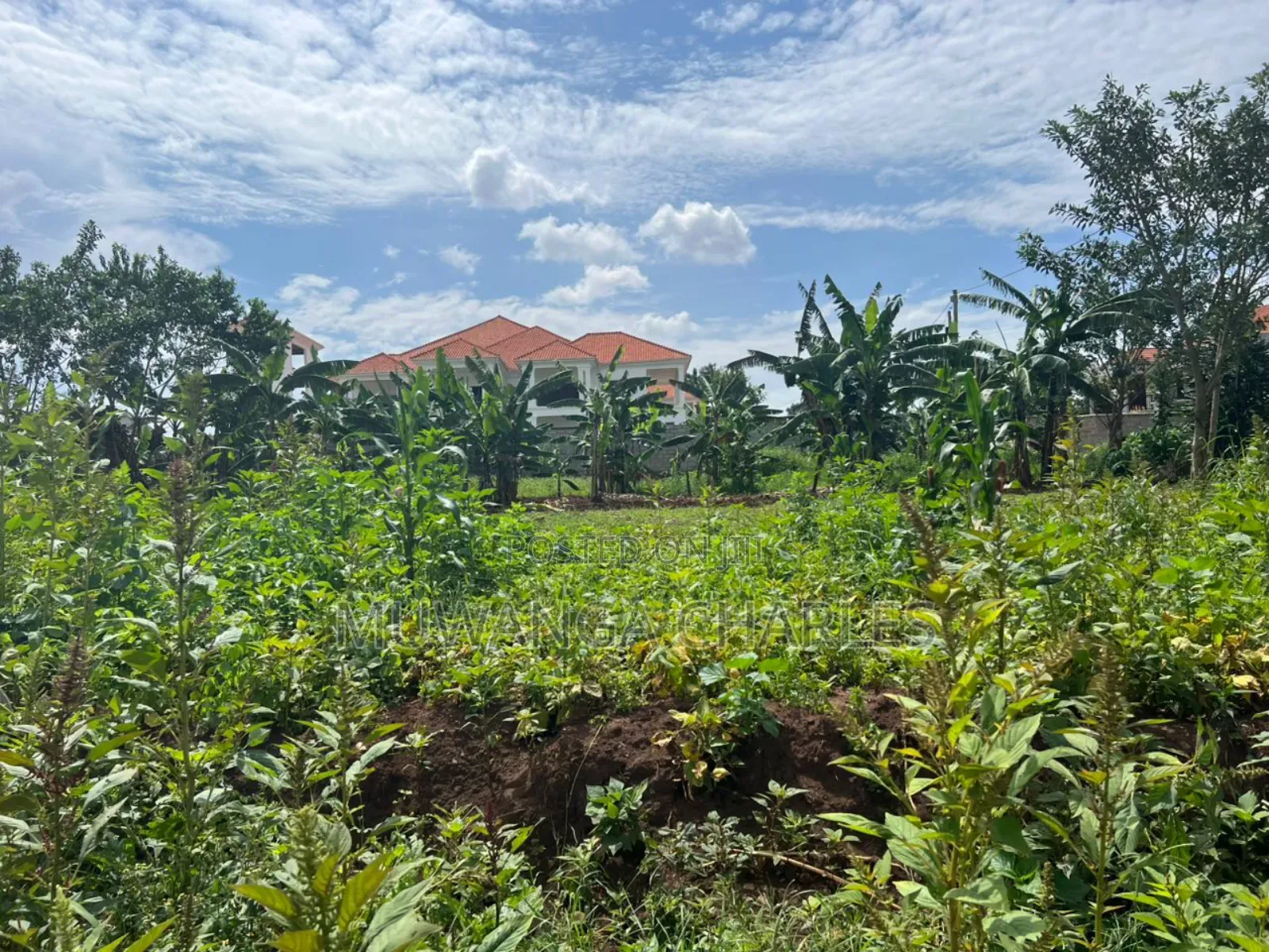 Plot on Sale in Buwate