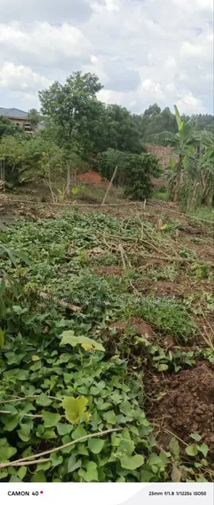 Plots for Sale in Kiwenda Phase 2