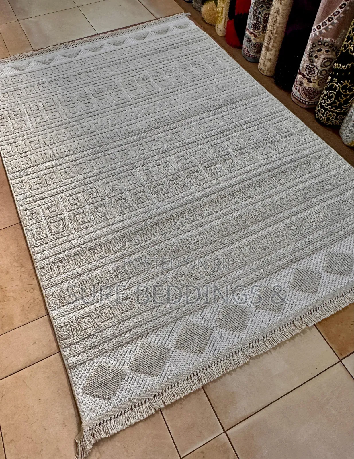 Large Sisal Carpet 200*300