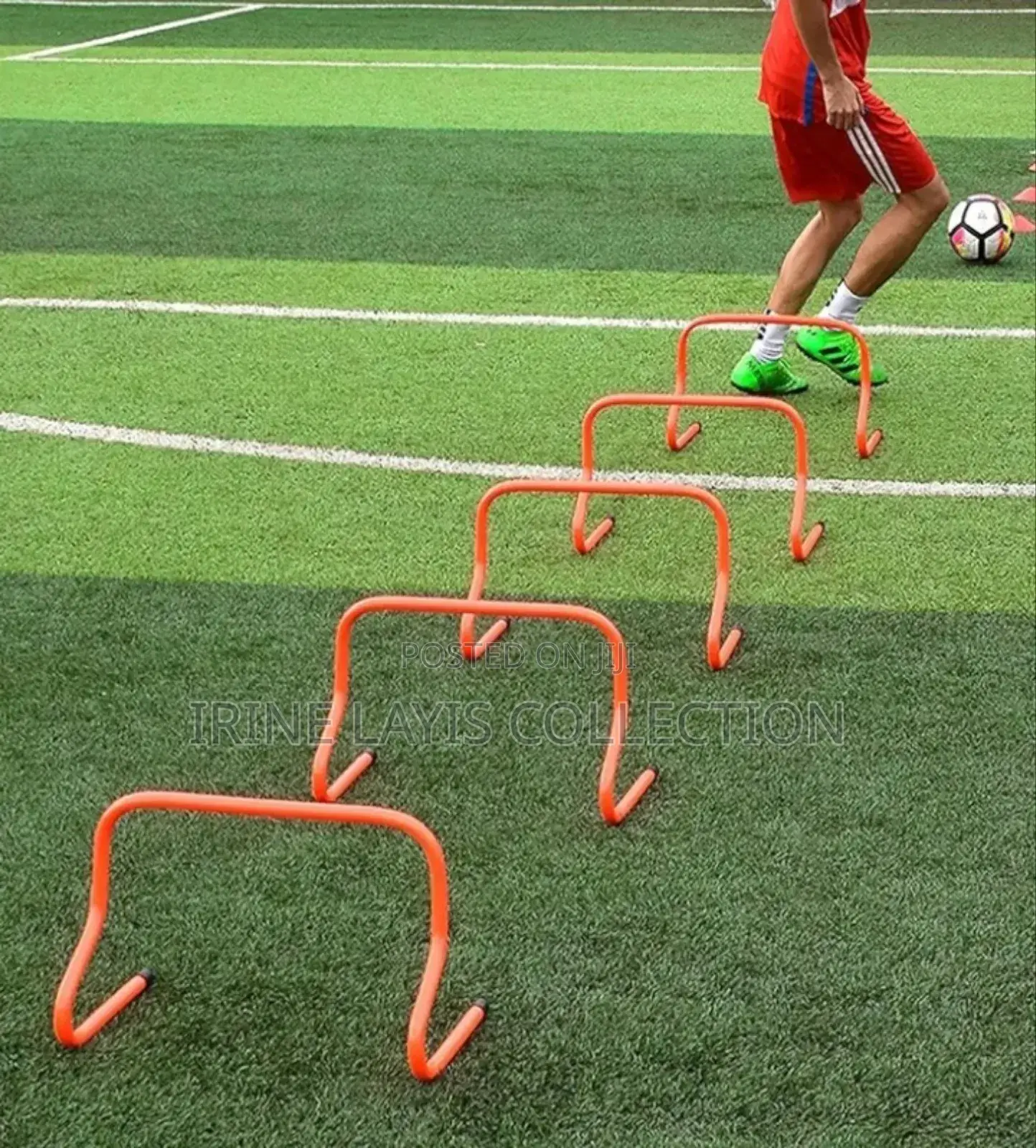 Training Hurdles