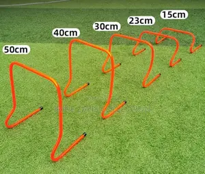 Training Hurdles