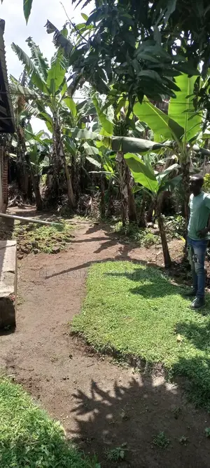 Furnished 3bdrm House in Kabalore for sale