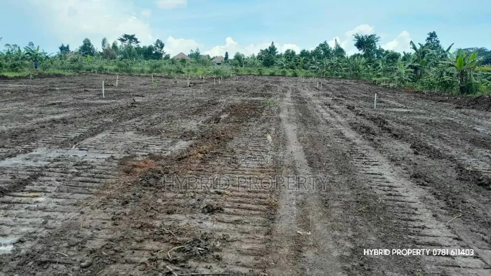 Prime Plots For Sale At Nsangi Kulya Show Land Estate~Masaka Road 1