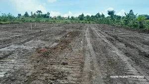Prime Plots For Sale At Nsangi Kulya Show Land Estate~Masaka Road 1