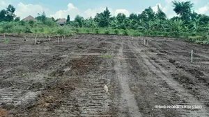 Prime Plots For Sale At Nsangi Kulya Show Land Estate~Masaka Road 1