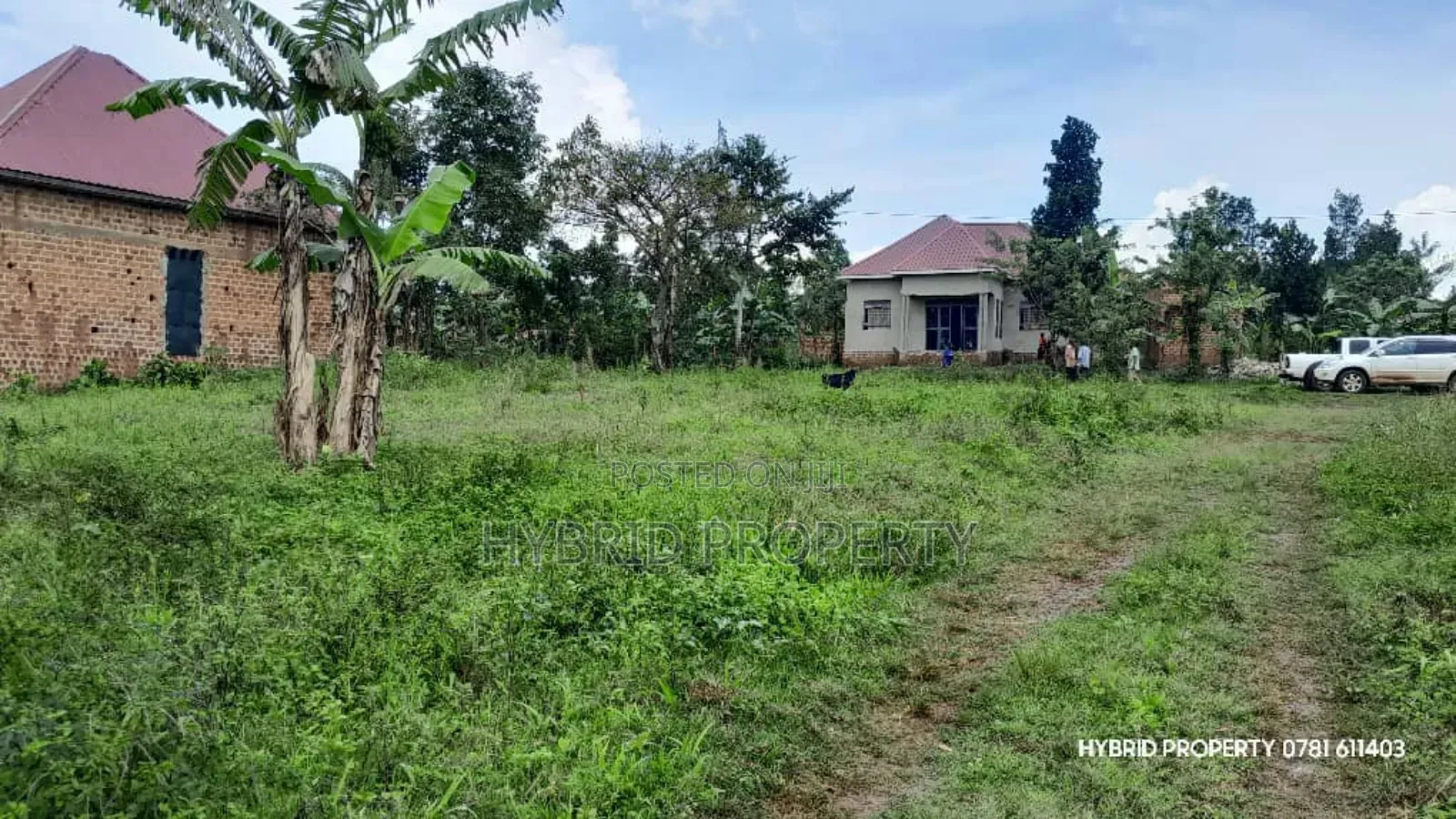 Prime Plots For Sale At Nsangi Kulya Show Land Estate~Masaka Road 1