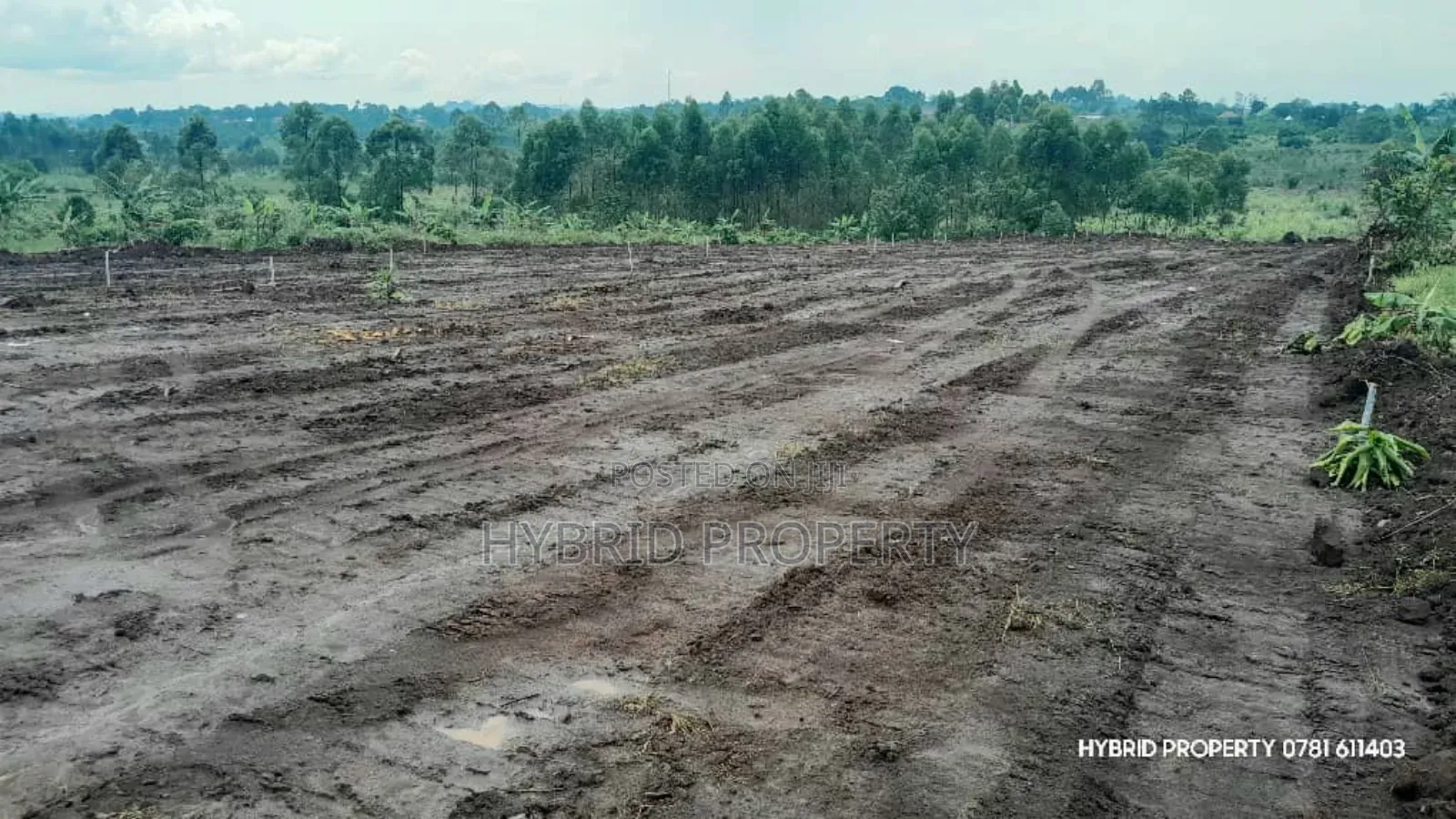 Prime Plots For Sale At Nsangi Kulya Show Land Estate~Masaka Road 1