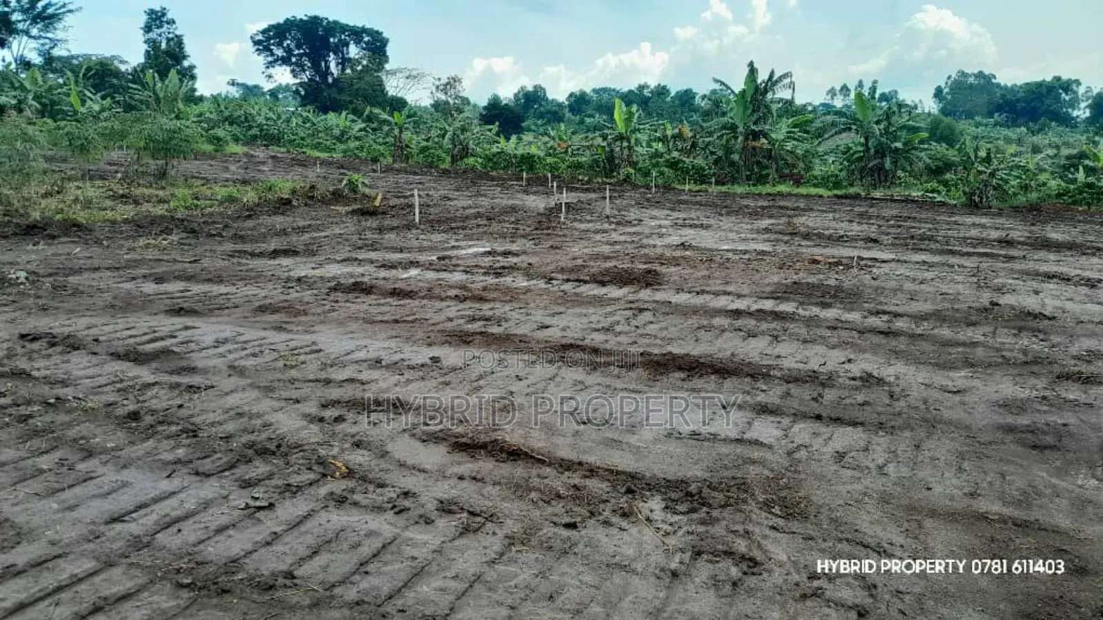 Prime Plots For Sale At Nsangi Kulya Show Land Estate~Masaka Road 1