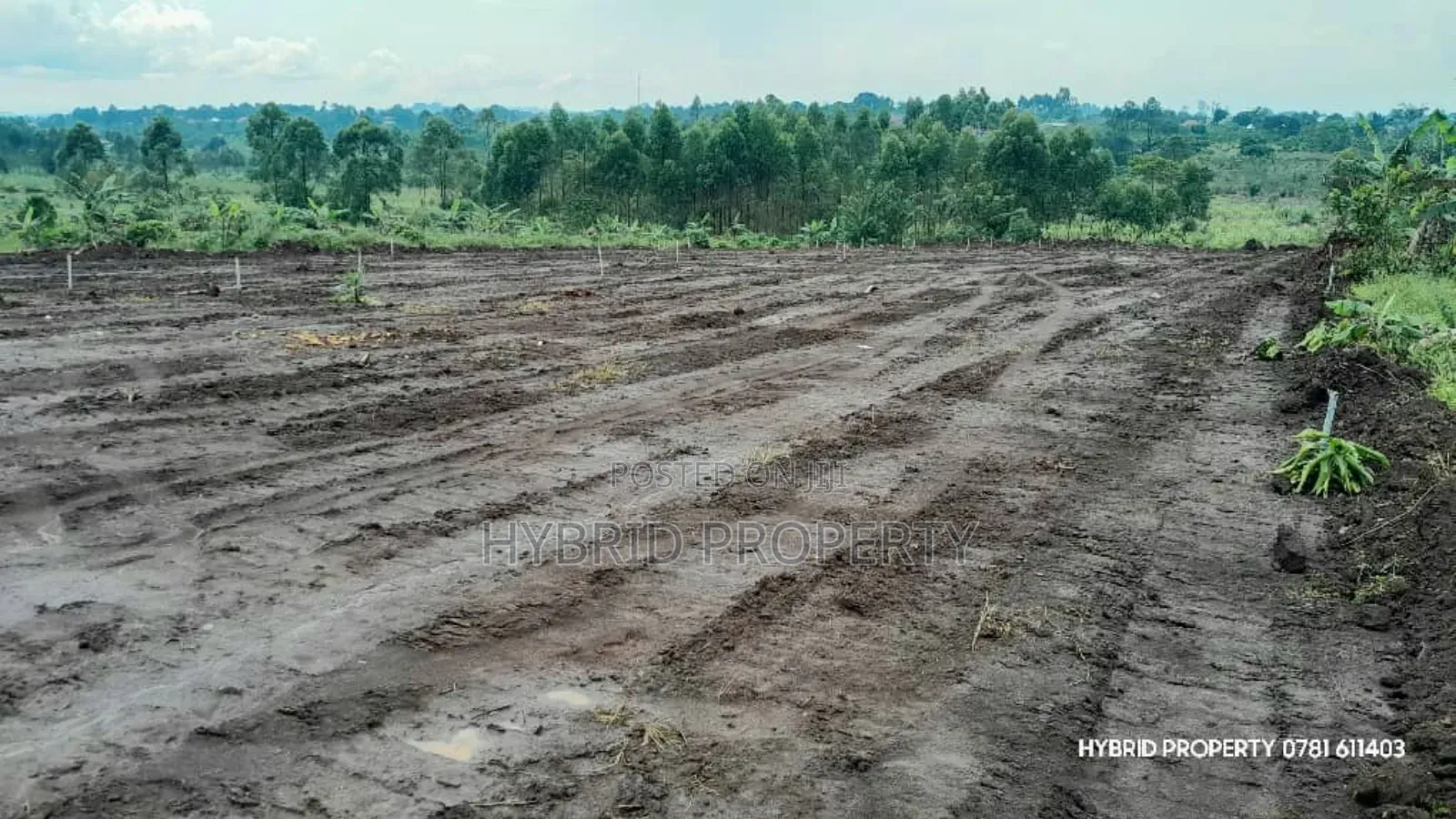 Prime Plots For Sale At Nsangi Kulya Show Land Estate~Masaka Road 1