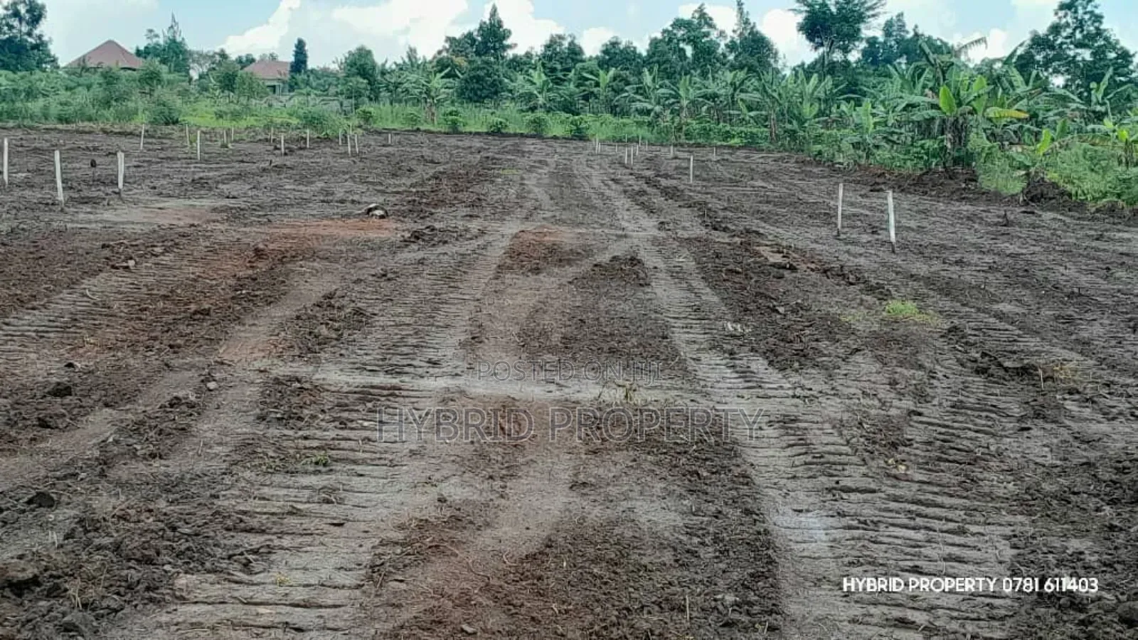 Prime Plots For Sale At Nsangi Kulya Show Land Estate~Masaka Road 1