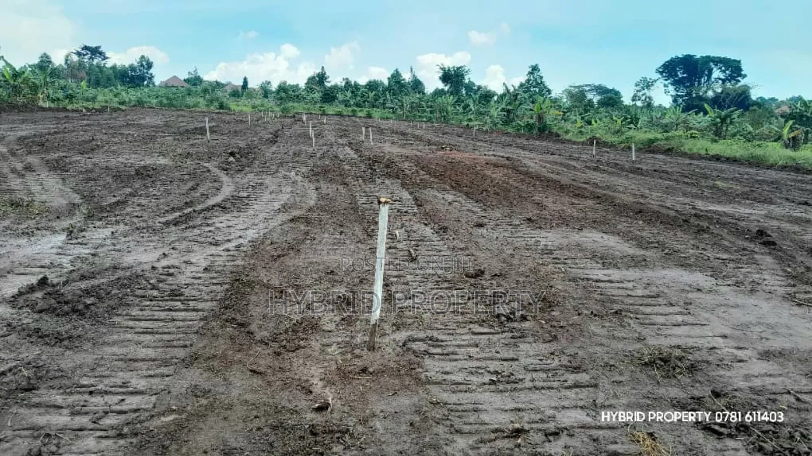 Prime Plots For Sale At Nsangi Kulya Show Land Estate~Masaka Road 1