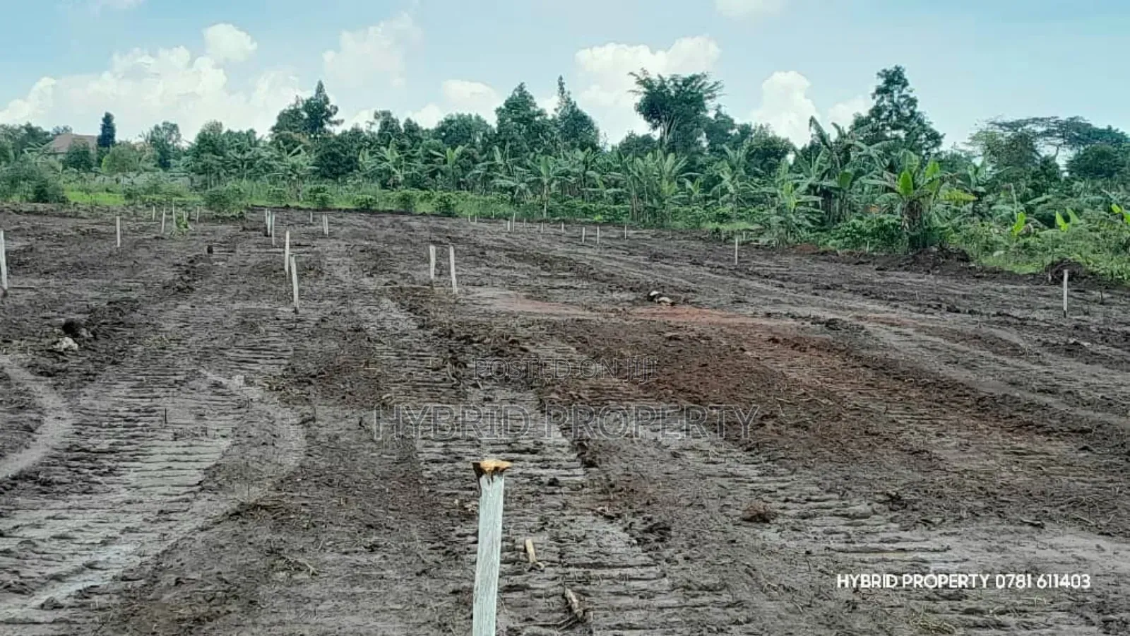 Prime Plots For Sale At Nsangi Kulya Show Land Estate~Masaka Road 1